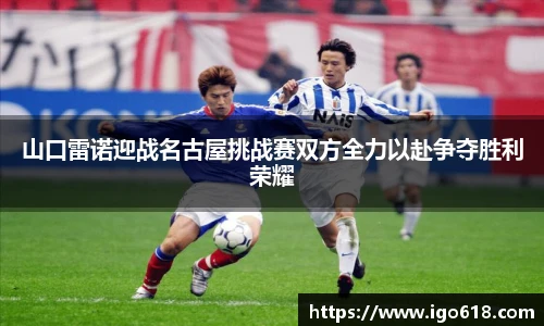 中欧体育