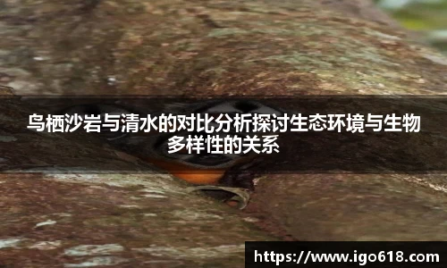 zoty中欧